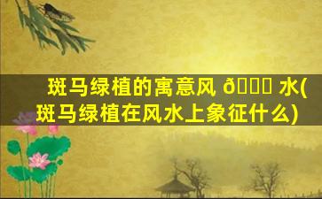斑马绿植的寓意风 🐕 水(斑马绿植在风水上象征什么)